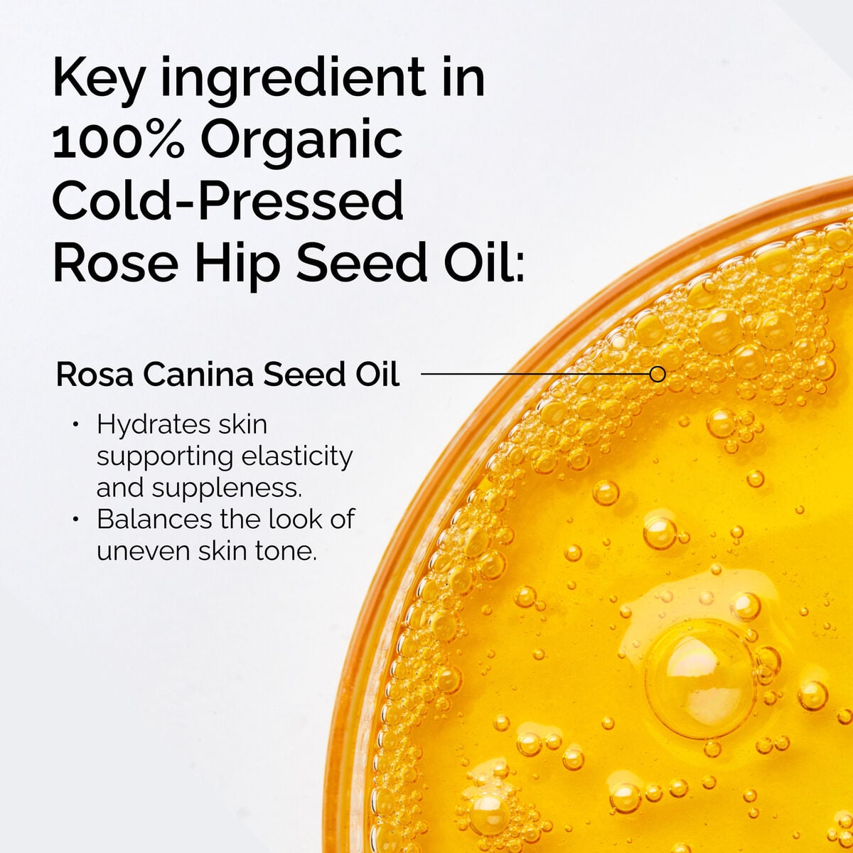 100-organic-cold-pressed-rose-hip-seed-oil-i4 FY25-D41247-ORD-Web-PDP-100-Rose-Hip-Oil-1x1-EN-2.jpg
