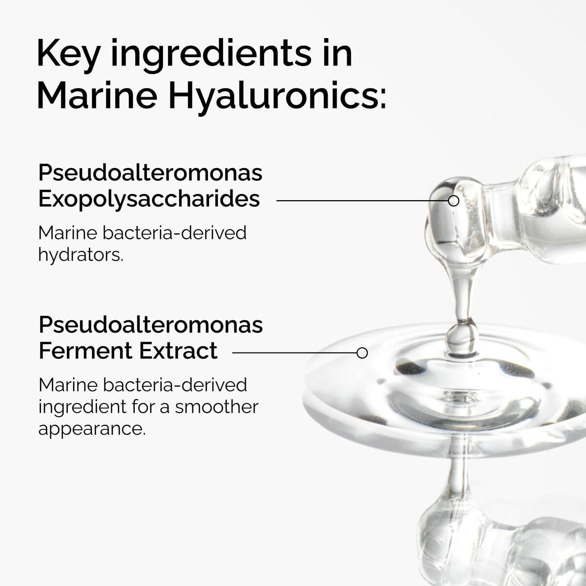marine-hyaluronics-h8 FY25-D41247-ORD-Web-PDP-Marine-Hya-1x1-EN-2a.jpg