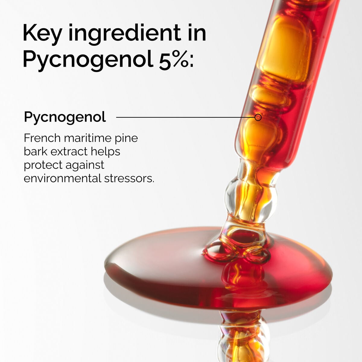 pycnogenol-5-l7 FY25-D41247-ORD-Web-PDP-Pyc-5pct-1x1-EN-2a.jpg