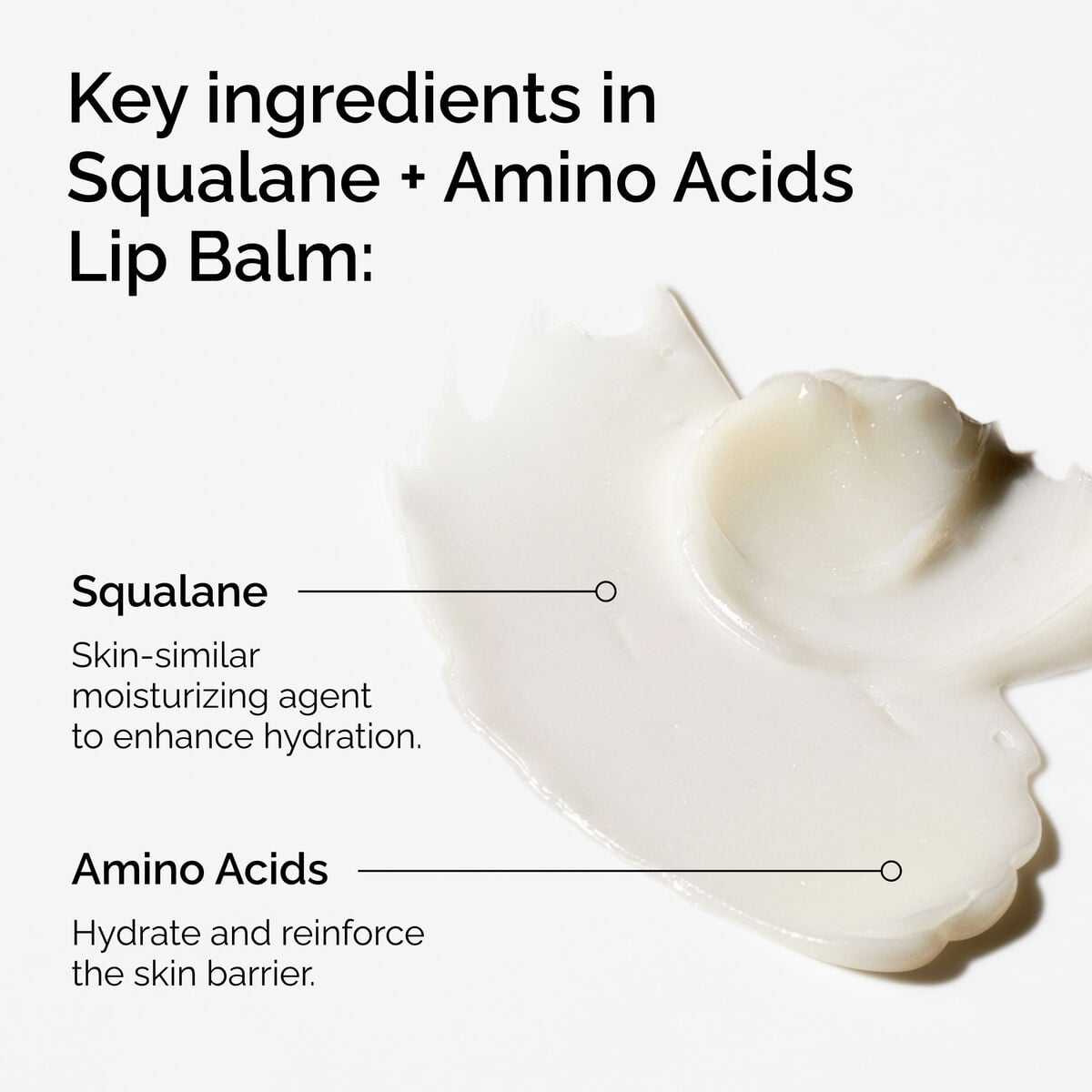 squalane-amino-acids-lip-balm-g4 FY25-D41247-ORD-Web-PDP-Sql-Amino-Lip-1x1-EN-2a.jpg