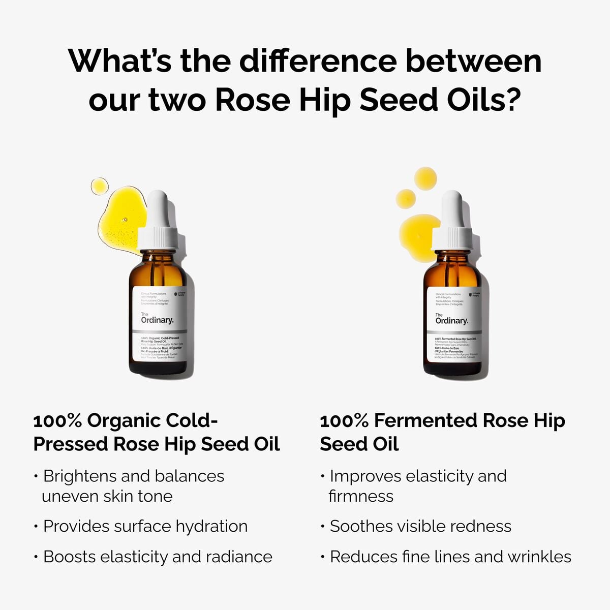 100-fermented-rose-hip-seed-oil-q0 fermented-rose-hip-vs-organic-rose-hip-graphic.jpg