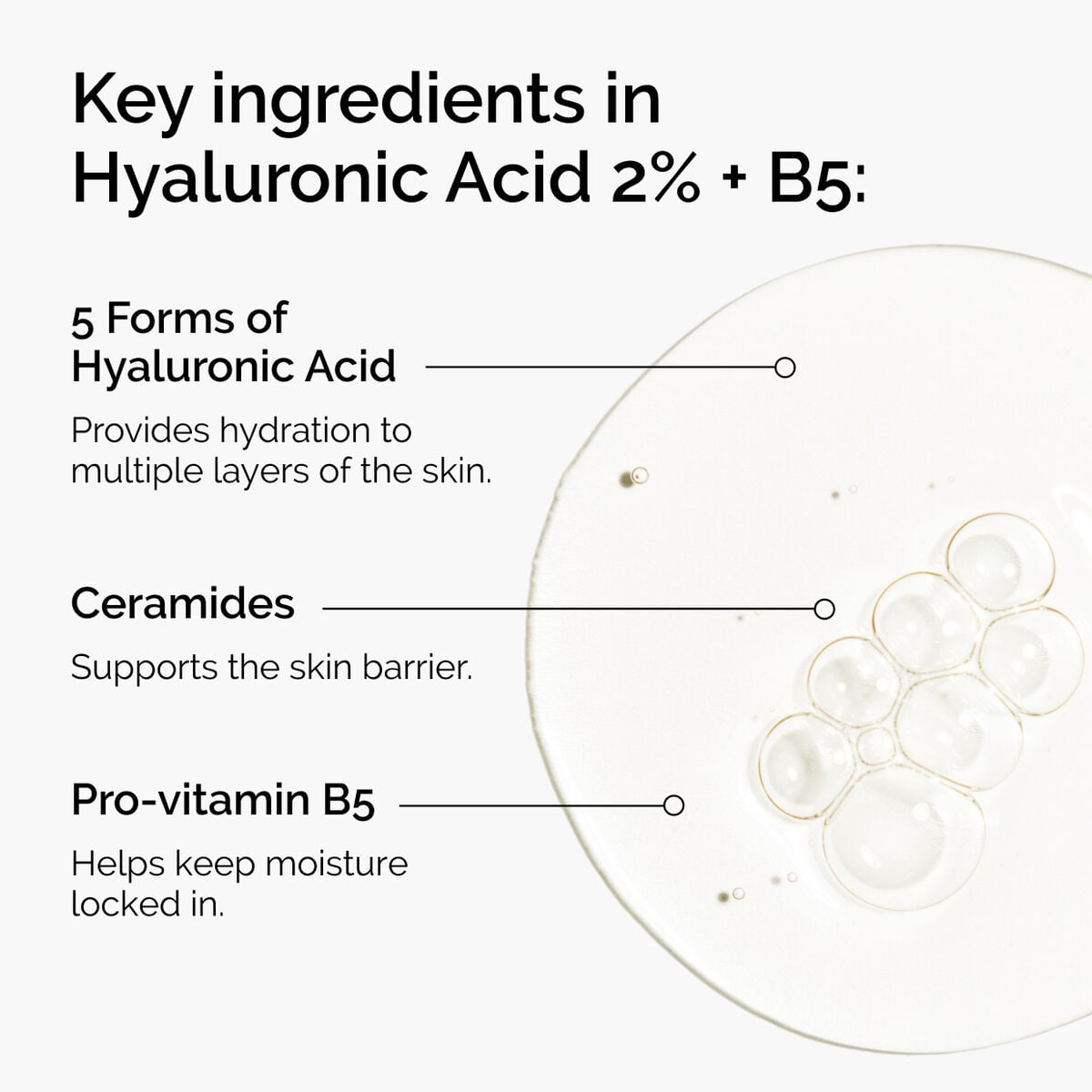 hyaluronic-acid-2-b5-with-ceramides-d4 ord-hyaluronic-acid-2pct-b5-hydrating-serum-ingredients-graphic.jpg