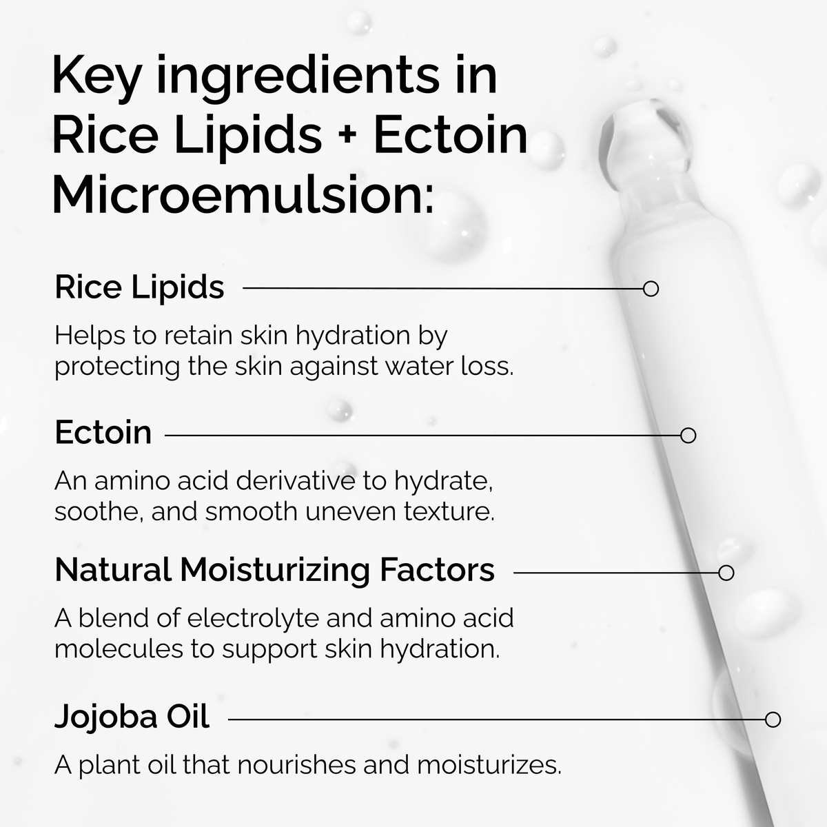 rice-lipids-ectoin-microemulsion-x9 ord-rice-lipids-ectoin-microemulsion-key-ingredients.png