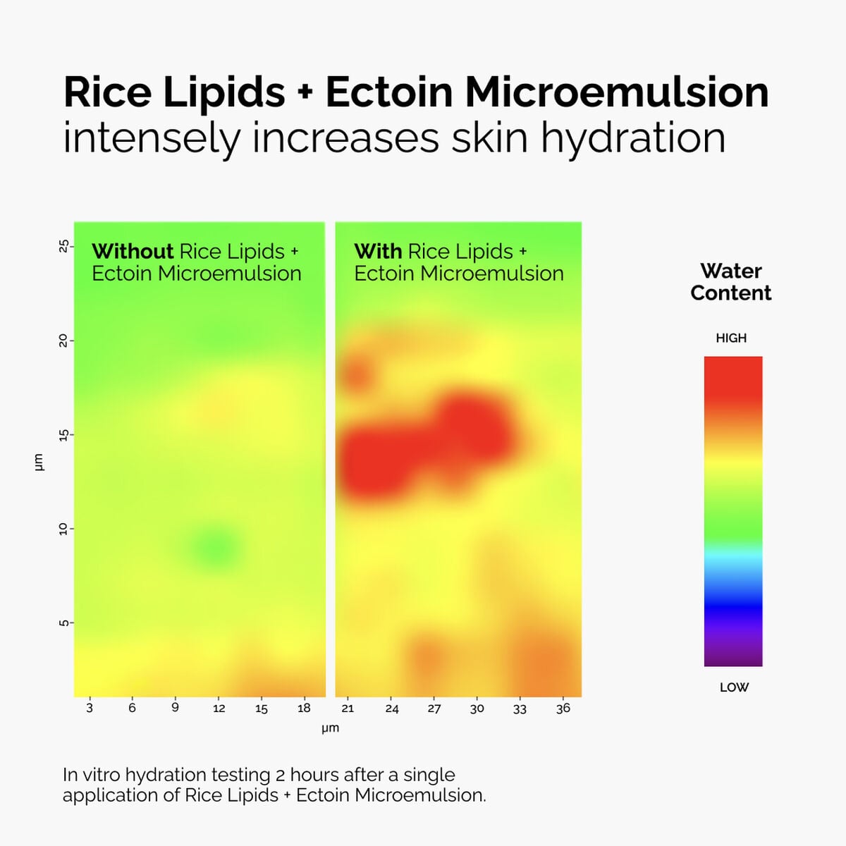 rice-lipids-ectoin-microemulsion-x9 ord-rice-lipids-ectoin-microemulsion-thermal-before-after.jpg